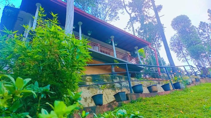 Hotel Ella Hillsite View Esterno foto