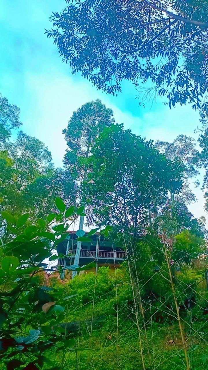 Hotel Ella Hillsite View Esterno foto