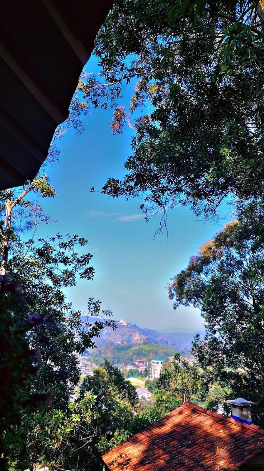 Hotel Ella Hillsite View Esterno foto