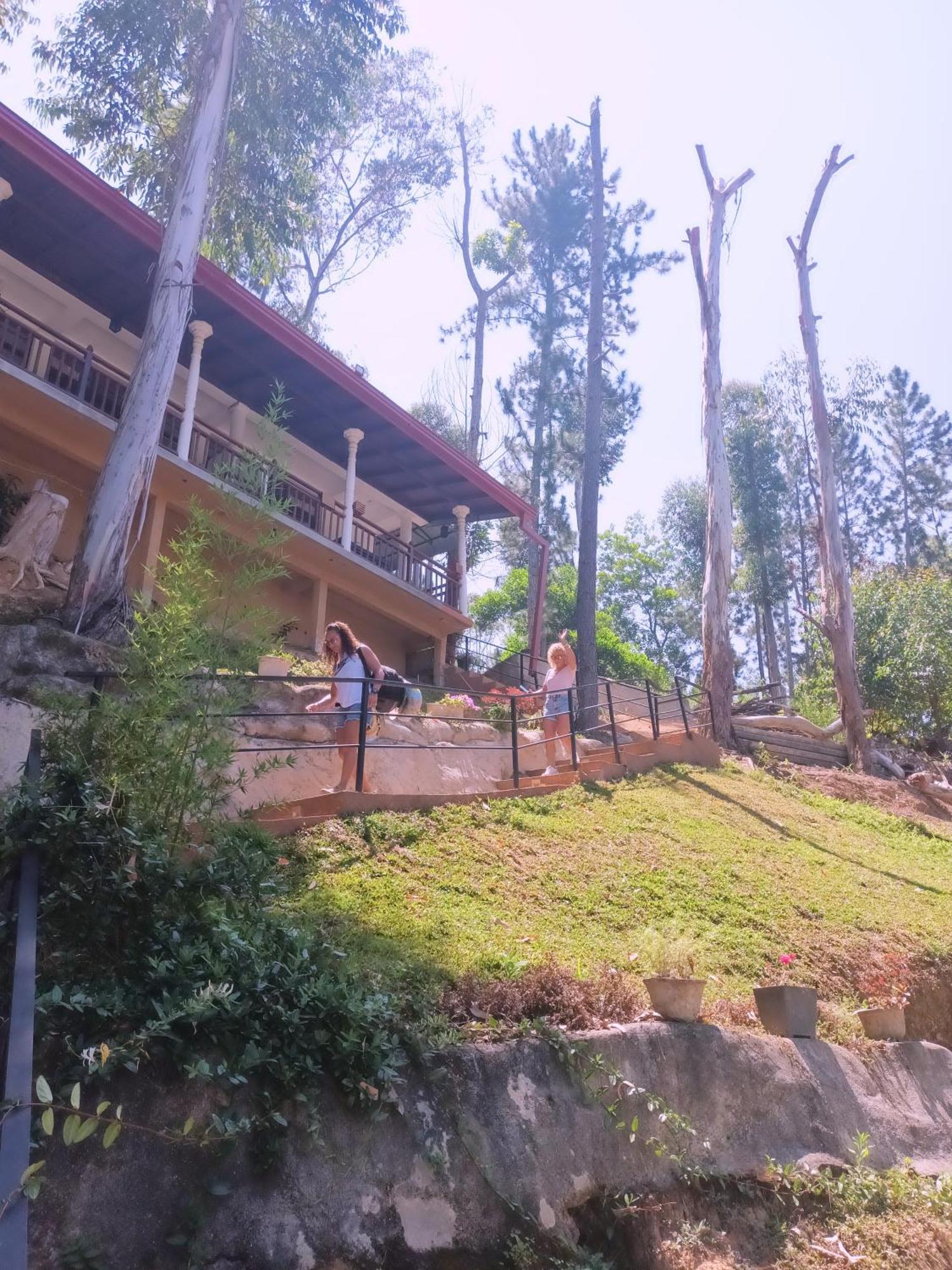 Hotel Ella Hillsite View Esterno foto